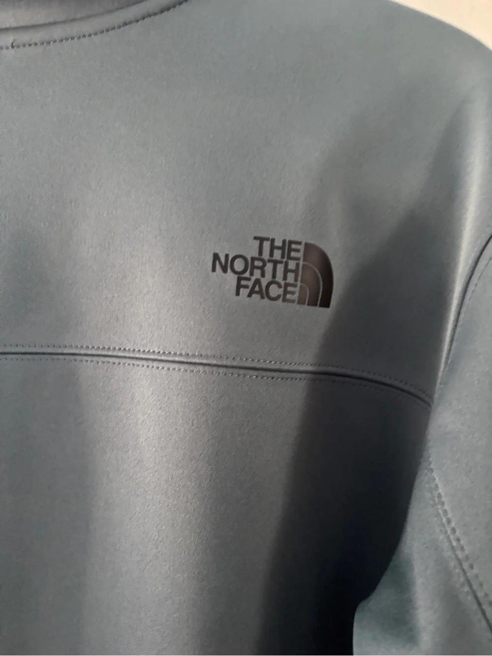 The North Face Men’s Jacket